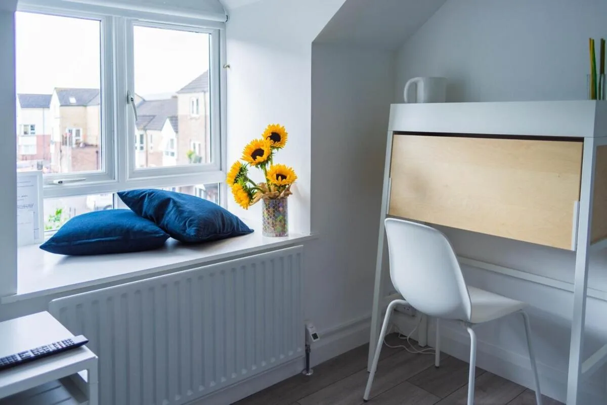 a vase of sunflowers sitting on a window sill at Amica Guesthouse in Belfast